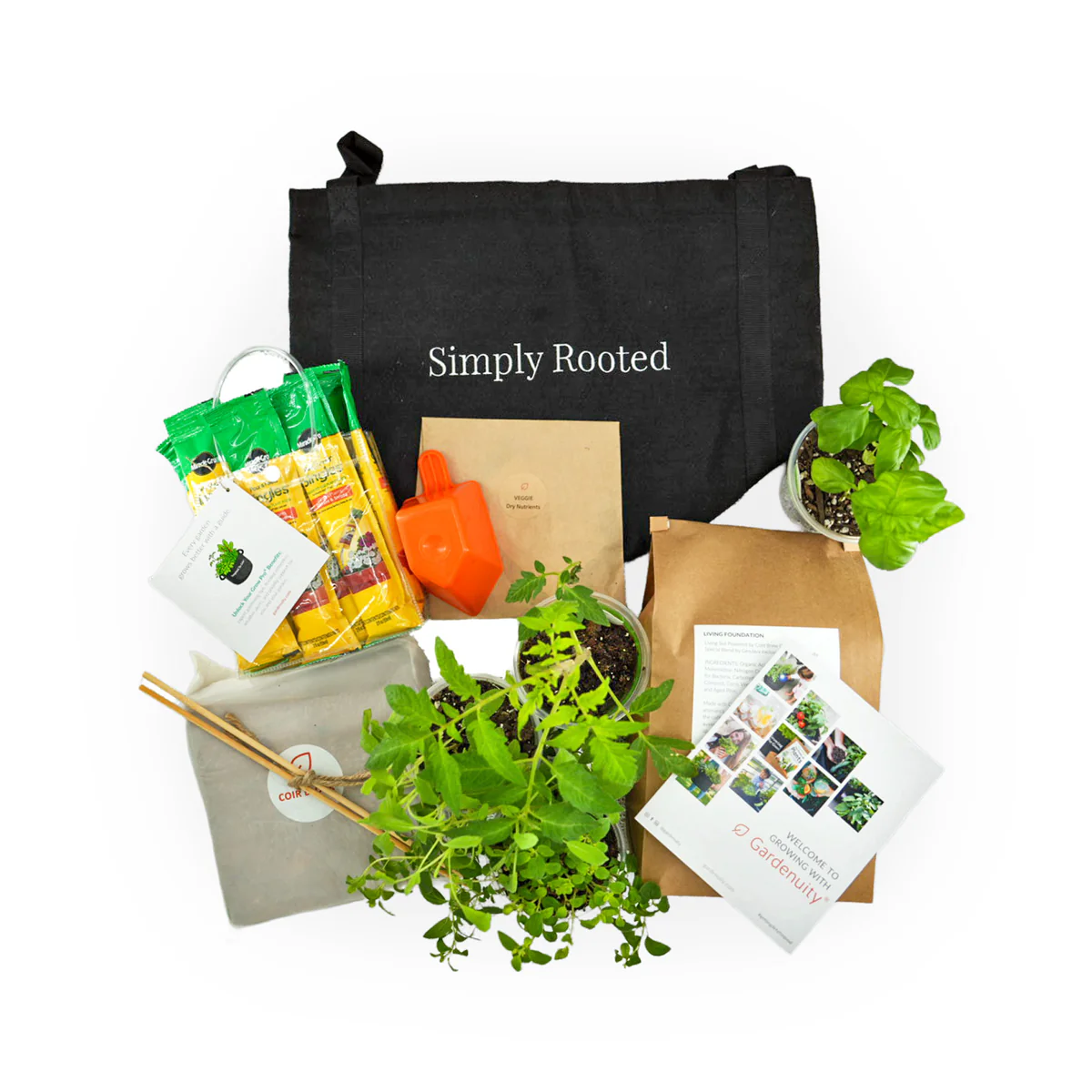 Welcome to Our Store